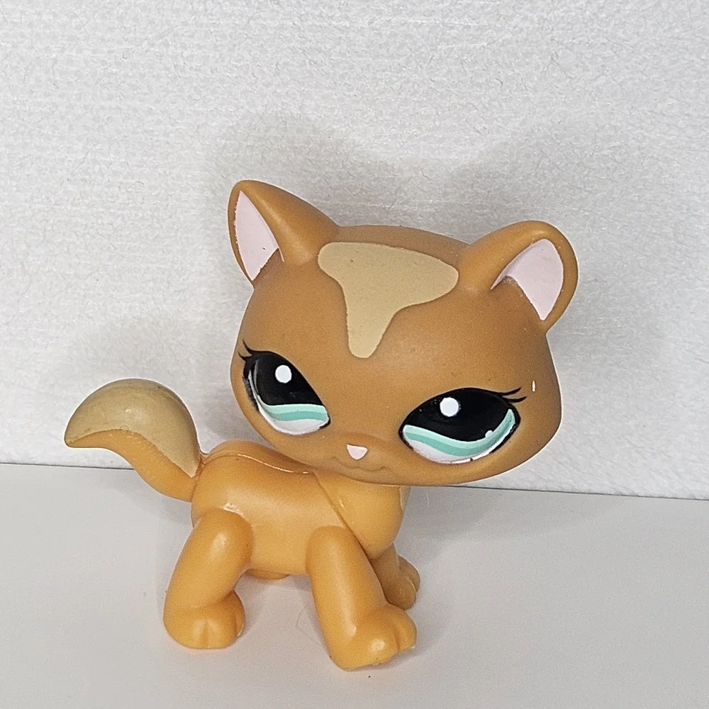 LPS‎ #1100 LITTLEST PETSHOP ORIGINAL CHAT CAT AUTHENTIQUE MAINE COON HASBRO